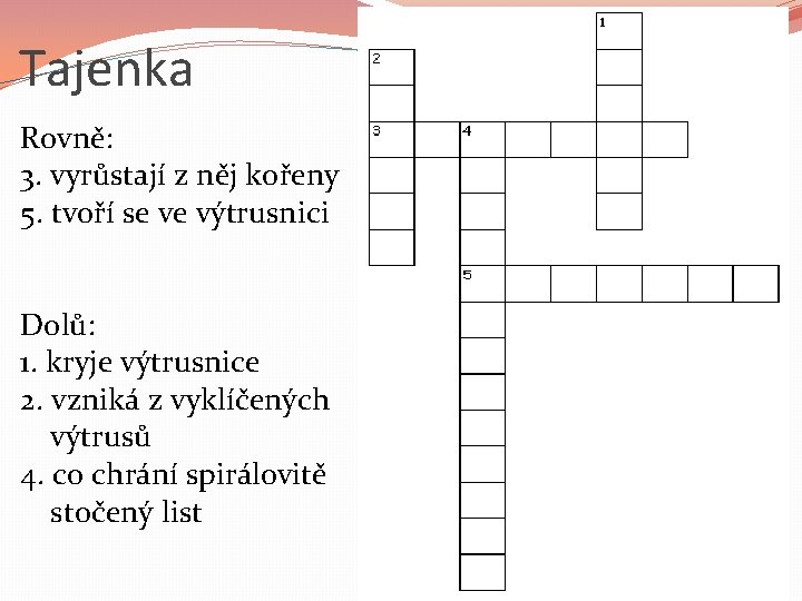 Tajenka Rovně: 3. vyrůstají z něj kořeny 5. tvoří se ve výtrusnici Dolů: 1.