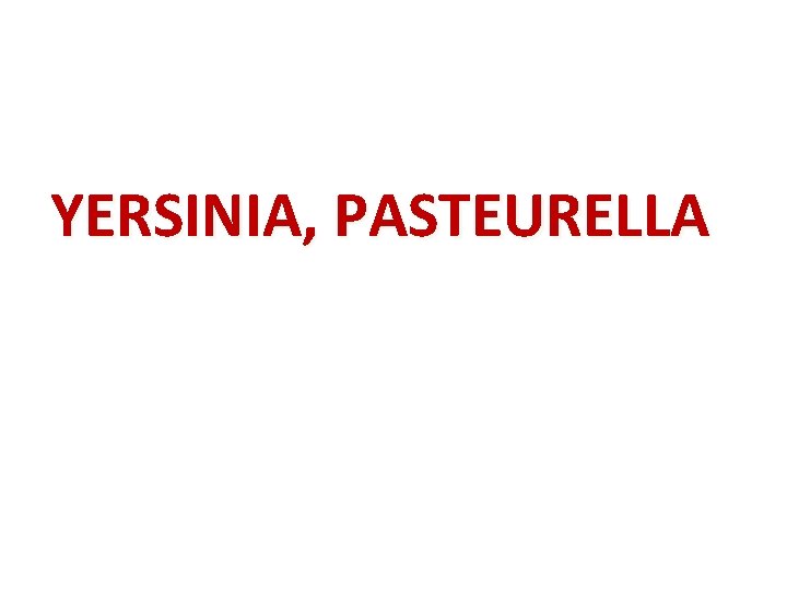 YERSINIA, PASTEURELLA 