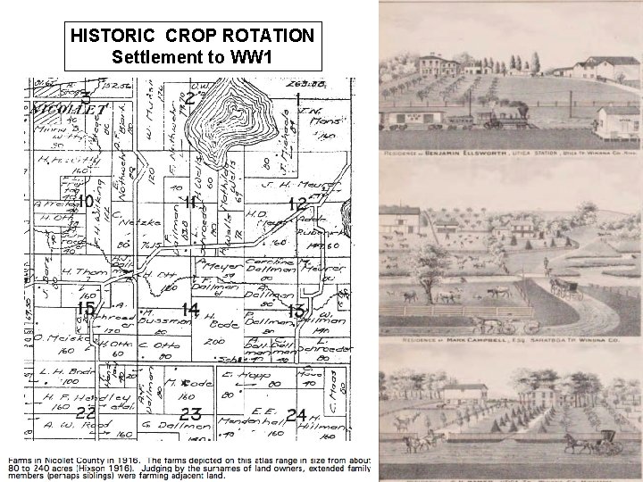 HISTORIC CROP ROTATION Settlement to WW 1 