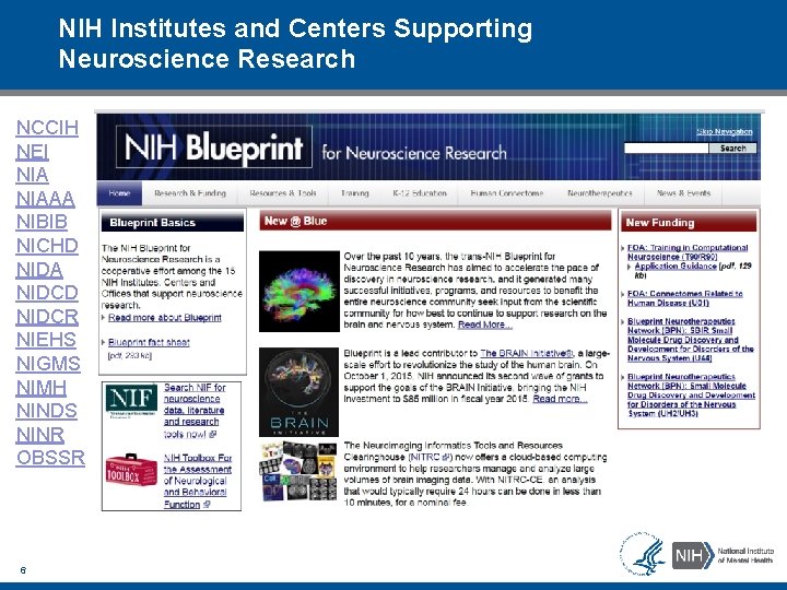 NIH Institutes and Centers Supporting Neuroscience Research NCCIH NEI NIAAA NIBIB NICHD NIDA NIDCD