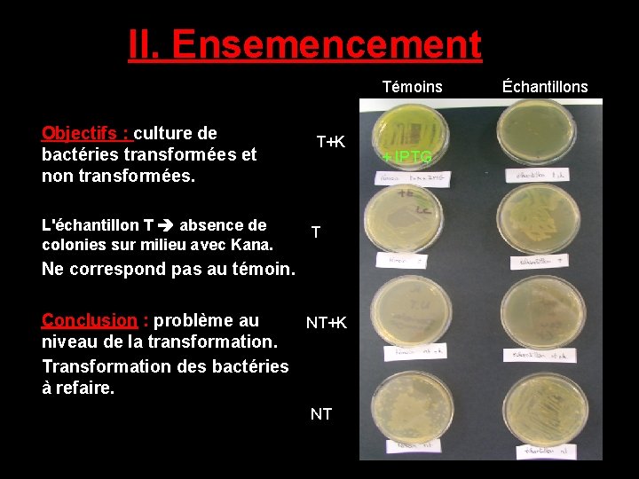 II. Ensemencement Témoins Objectifs : culture de bactéries transformées et non transformées. L'échantillon T