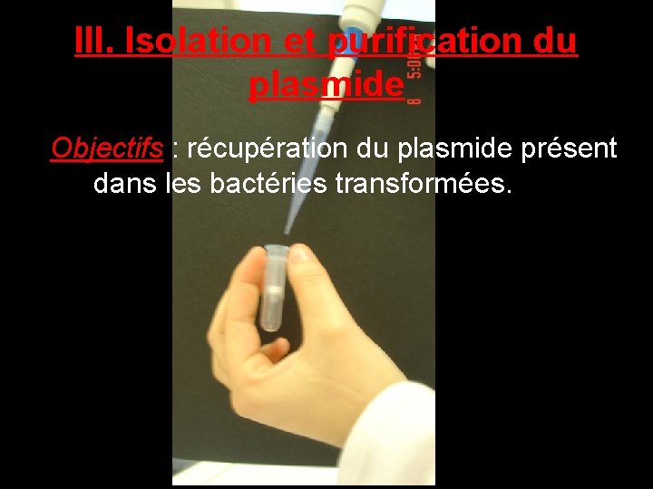 III. Isolation et purification du plasmide Objectifs : récupération du plasmide présent dans les