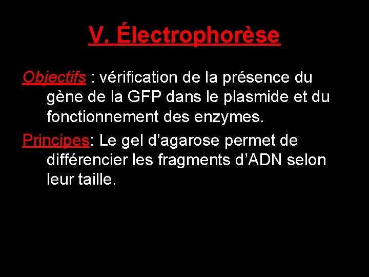 V. Électrophorèse Objectifs : vérification de la présence du gène de la GFP dans