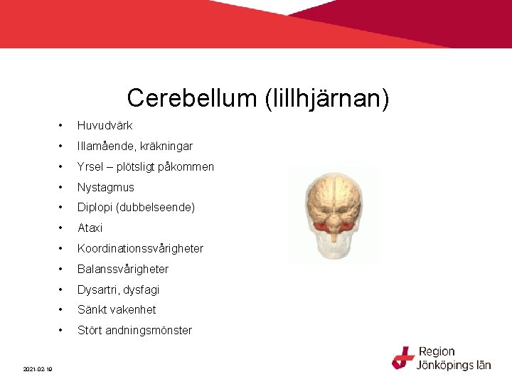 Cerebellum (lillhjärnan) 2021 -02 -19 • Huvudvärk • Illamående, kräkningar • Yrsel – plötsligt