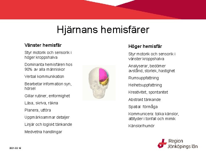 Hjärnans hemisfärer Vänster hemisfär Höger hemisfär Styr motorik och sensorik i höger kroppshalva Styr