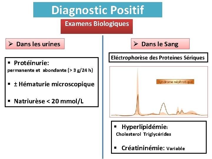 Diagnostic Positif Examens Biologiques Ø Dans les urines § Protéinurie: Ø Dans le Sang