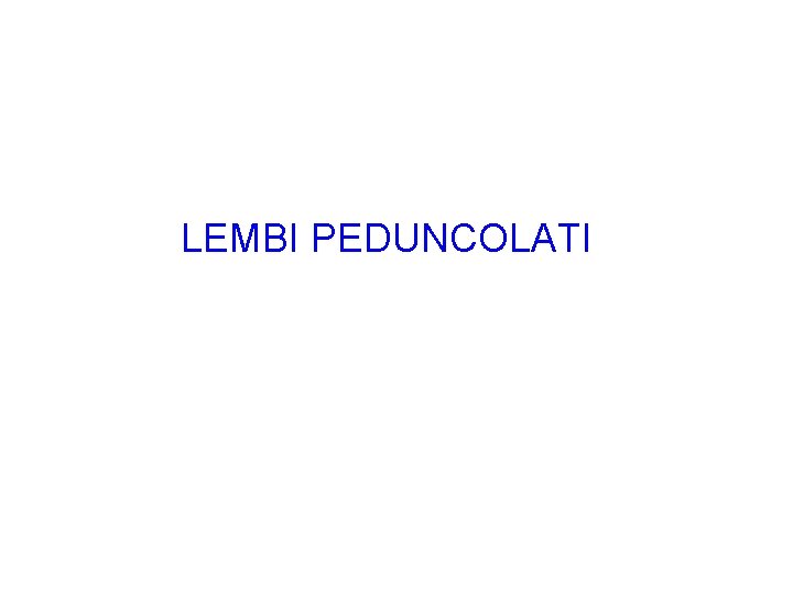 RICOSTRUZIONE AUTOLOGA LEMBI PEDUNCOLATI 