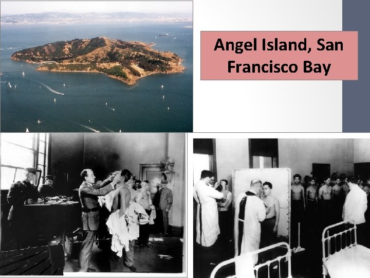 Angel Island, San Francisco Bay Angel Island, San Francisco Bay