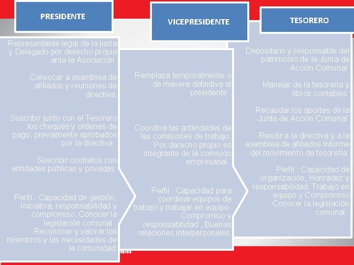 PRESIDENTE VICEPRESIDENTE Representante legal de la junta y Delegado por derecho propio ante la