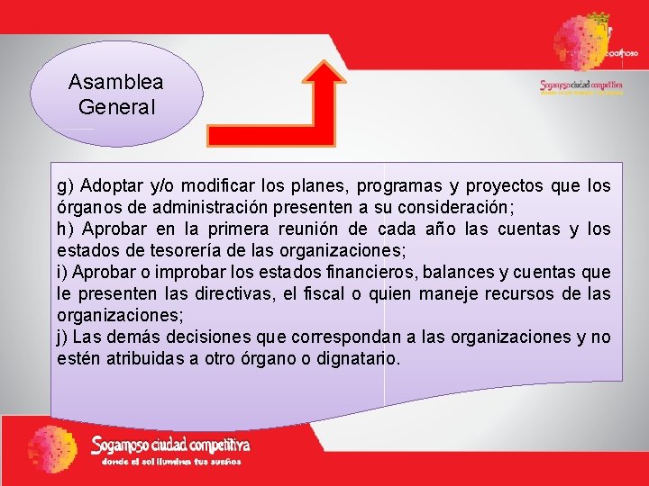 Asamblea General g) Adoptar y/o modificar los planes, programas y proyectos que los órganos