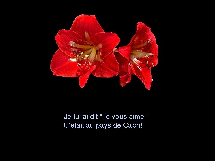 Je lui ai dit " je vous aime " C'était au pays de Capri!