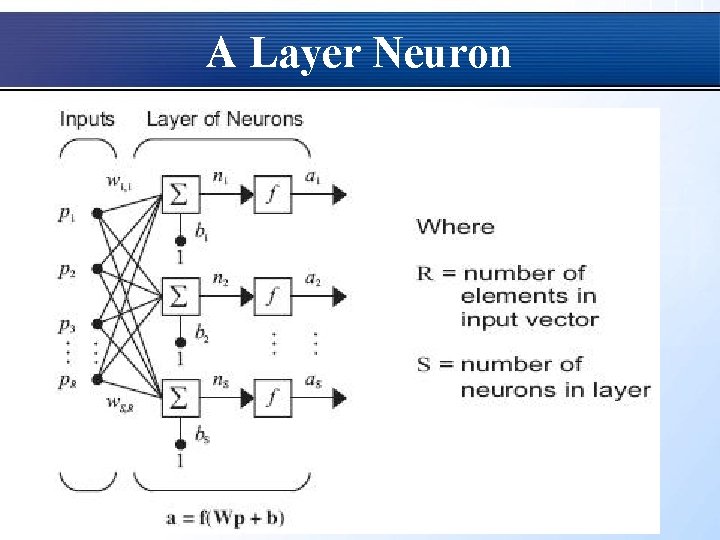 A Layer Neuron 