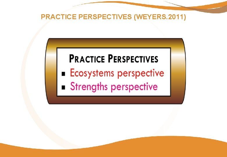 PRACTICE PERSPECTIVES (WEYERS. 2011) 