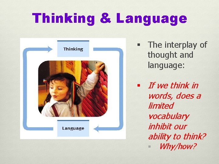 Thinking & Language § The interplay of thought and language: § If we think