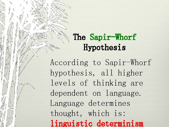 The Sapir-Whorf Hypothesis According to Sapir-Whorf hypothesis, all higher levels of thinking are dependent
