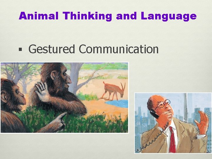 Animal Thinking and Language § Gestured Communication 