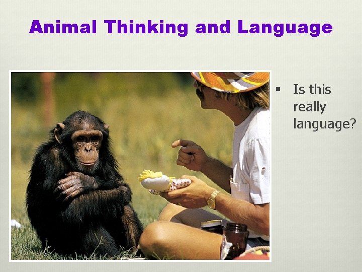 Animal Thinking and Language § Is this really language? 