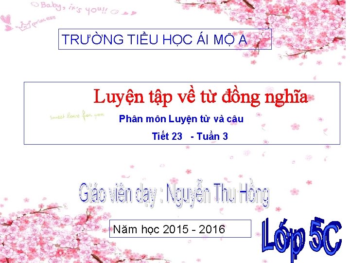 TRƯỜNG TIỂU HỌC ÁI MỘ A Luyện tập về từ đồng nghĩa Phân môn