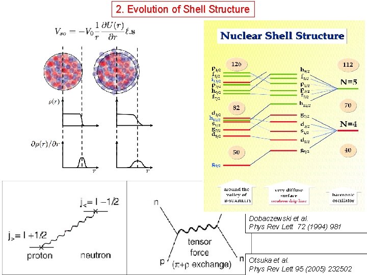 2. Evolution of Shell Structure Dobaczewski et al. Phys Rev Lett 72 (1994) 981