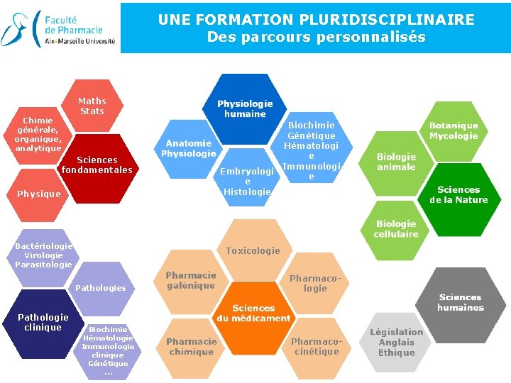 UNE FORMATION PLURIDISCIPLINAIRE Des parcours personnalisés Maths Stats Chimie générale, organique, analytique Sciences fondamentales