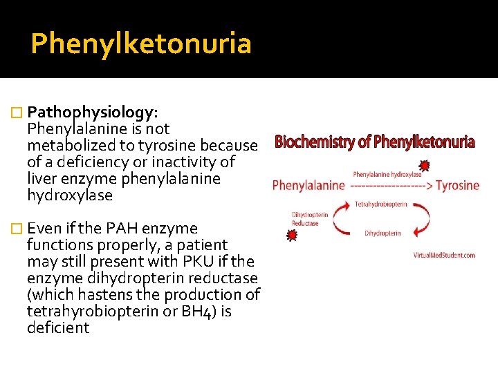 Phenylketonuria � Pathophysiology: Phenylalanine is not metabolized to tyrosine because of a deficiency or