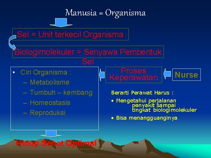 Manusia = Organisma Sel = Unit terkecil Organisma Biologimolekuler = Senyawa Pembentuk Sel Proses