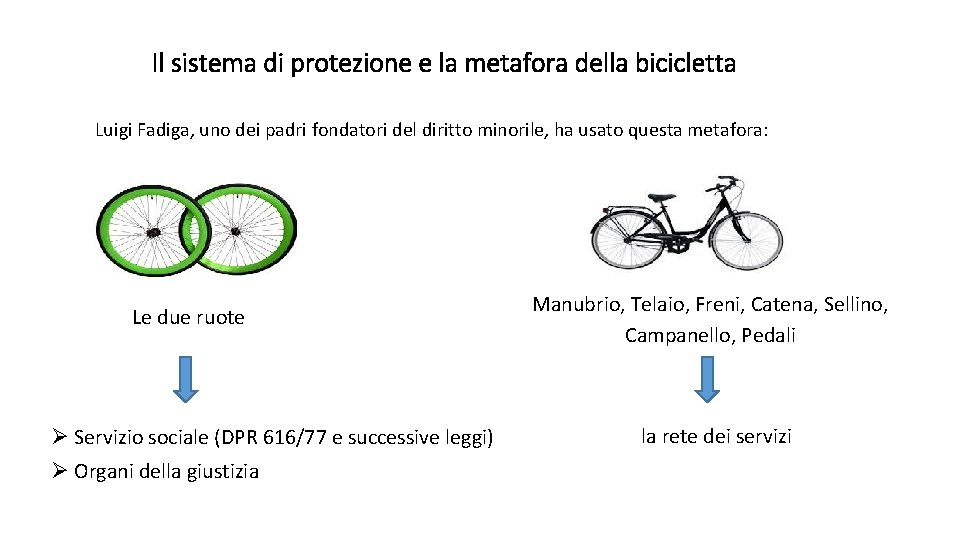 Il sistema di protezione e la metafora della bicicletta Luigi Fadiga, uno dei padri