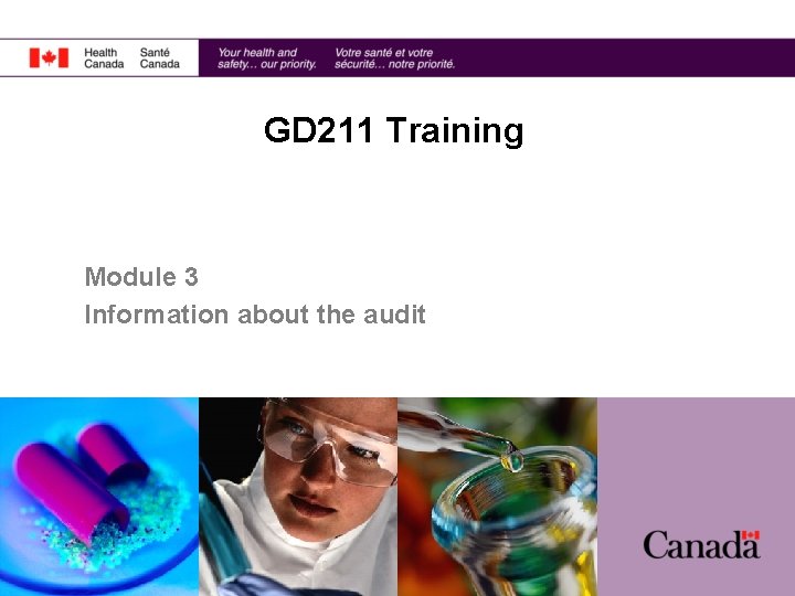 GD 211 Training Module 3 Information about the audit 