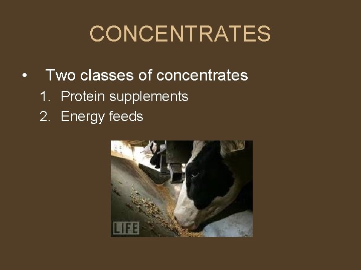 CONCENTRATES • Two classes of concentrates 1. Protein supplements 2. Energy feeds 