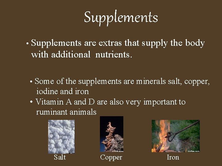 Supplements • Supplements are extras that supply the body with additional nutrients. • Some
