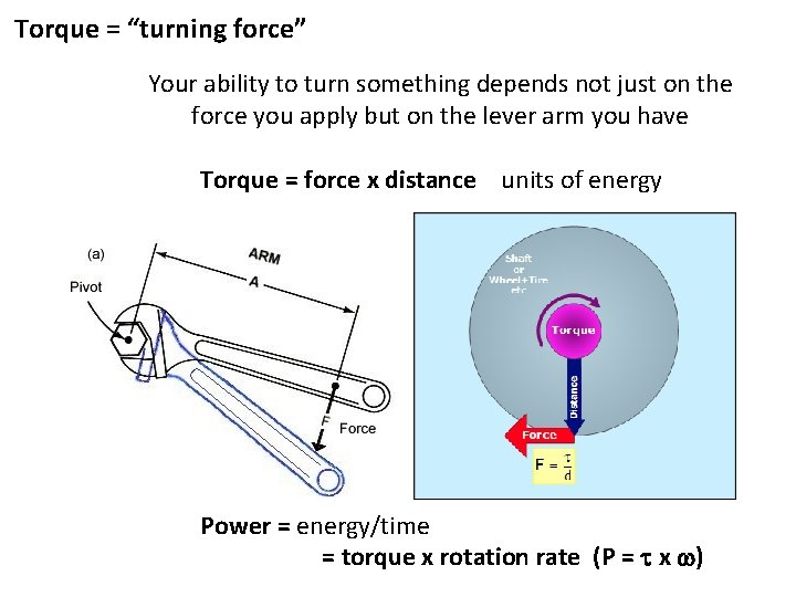 Torque = “turning force” Your ability to turn something depends not just on the