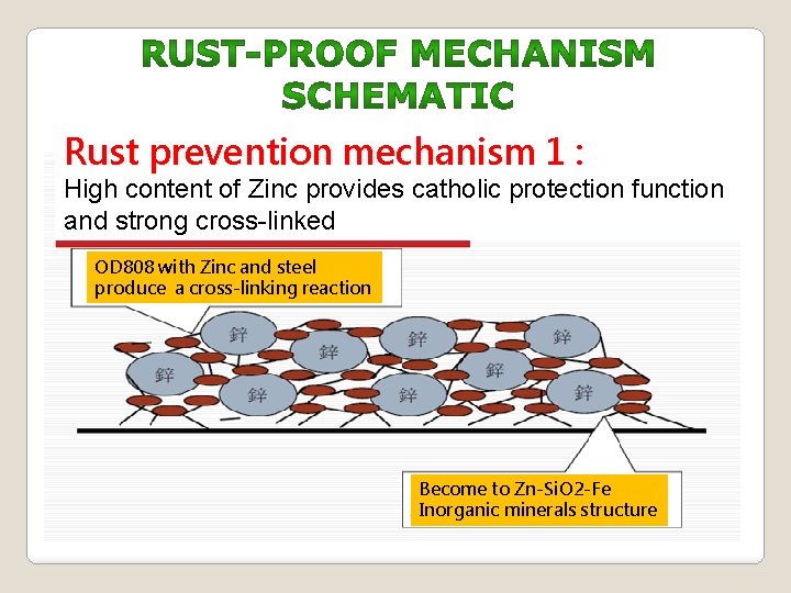 Rust prevention mechanism 1 : High content of Zinc provides catholic protection function and