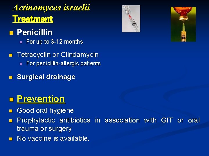 Actinomyces israelii Treatment n Penicillin n n For up to 3 -12 months Tetracyclin