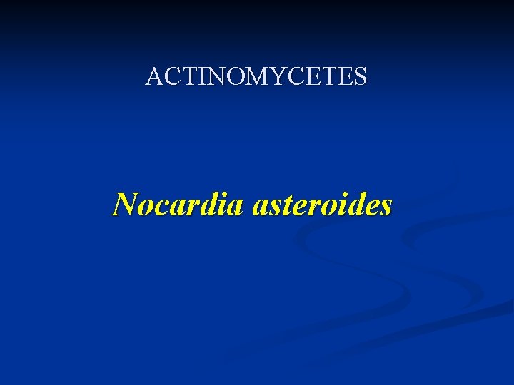 ACTINOMYCETES Nocardia asteroides 