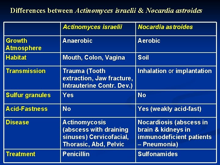 Differences between Actinomyces israelii & Nocardia astroides Actinomyces israelii Nocardia astroides Growth Atmosphere Anaerobic