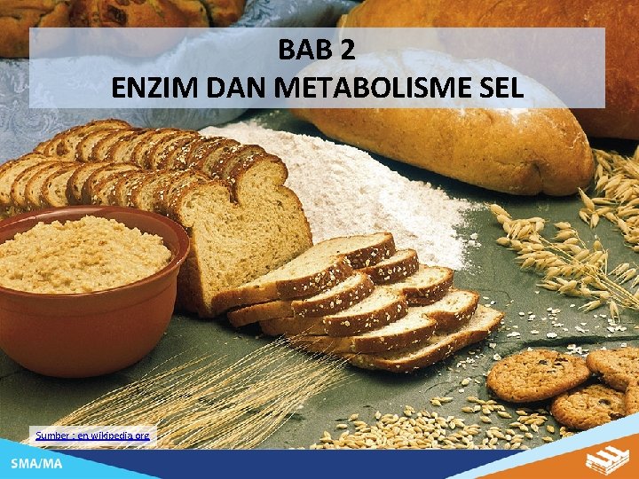 BAB 2 ENZIM DAN METABOLISME SEL Sumber : en. wikipedia. org 