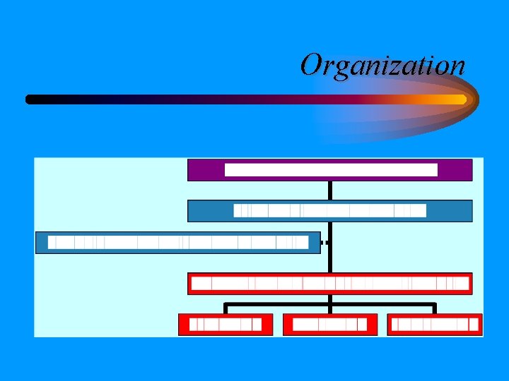 Organization Organization