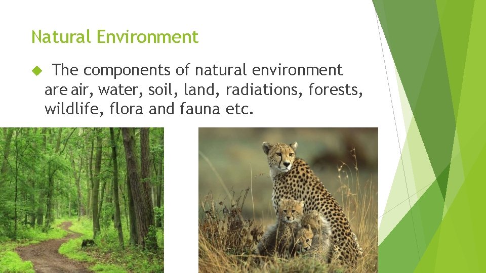 Natural Environment The components of natural environment are air, water, soil, land, radiations, forests,