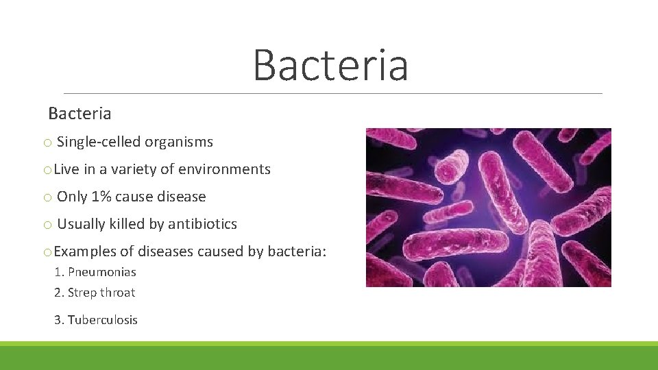 Bacteria o Single-celled organisms o. Live in a variety of environments o Only 1%