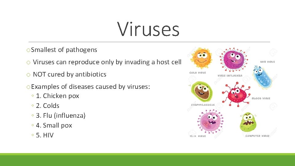 Viruses o. Smallest of pathogens o Viruses can reproduce only by invading a host