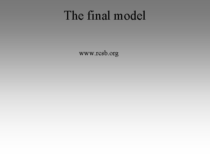 The final model www. rcsb. org 