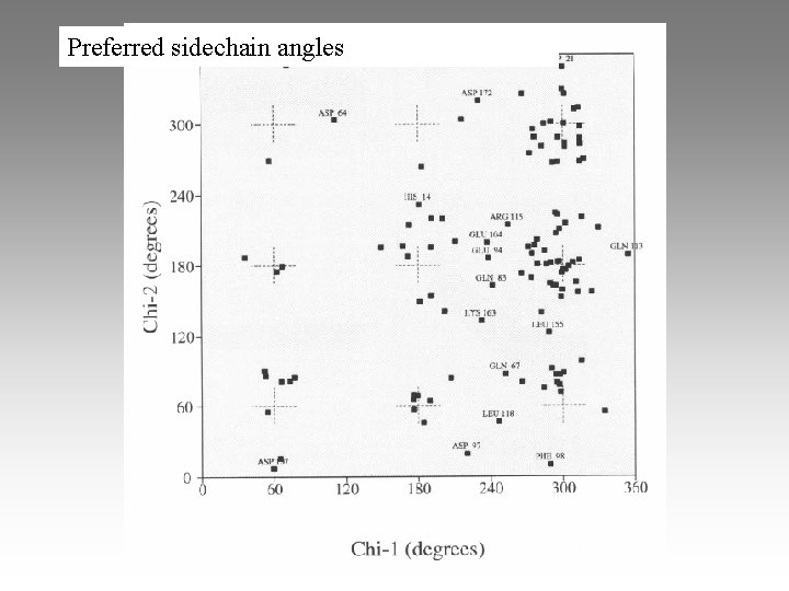 Preferred sidechain angles 