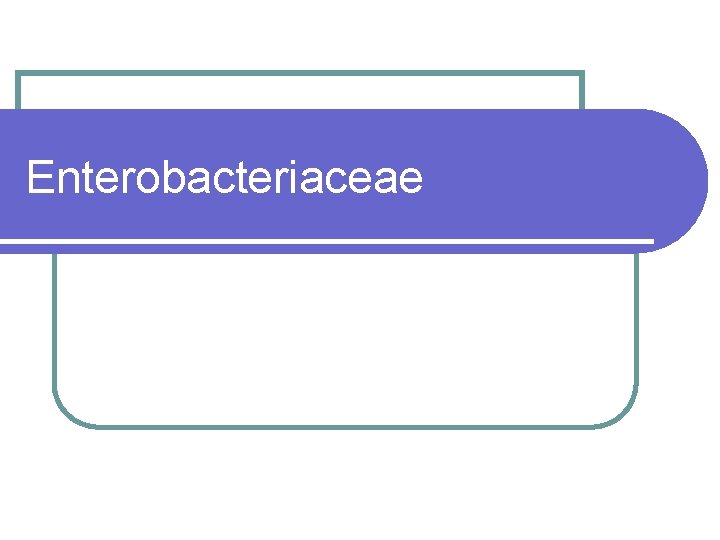 Enterobacteriaceae 