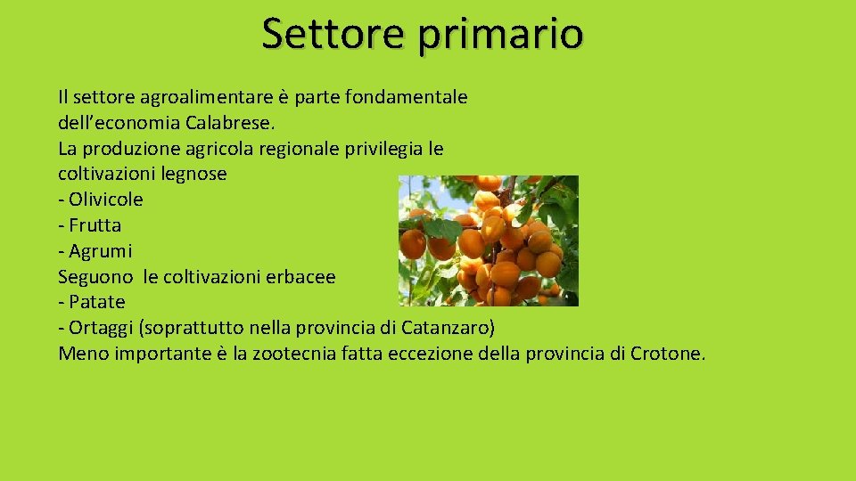 Settore primario Il settore agroalimentare è parte fondamentale dell’economia Calabrese. La produzione agricola regionale Settore primario Il settore agroalimentare è parte fondamentale dell’economia Calabrese. La produzione agricola regionale