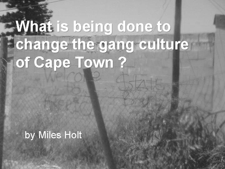What is being done to change the gang culture of Cape Town ? by