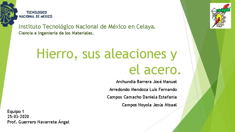 Instituto Tecnológico Nacional de México en Celaya. Ciencia e Ingeniería de los Materiales. Hierro,