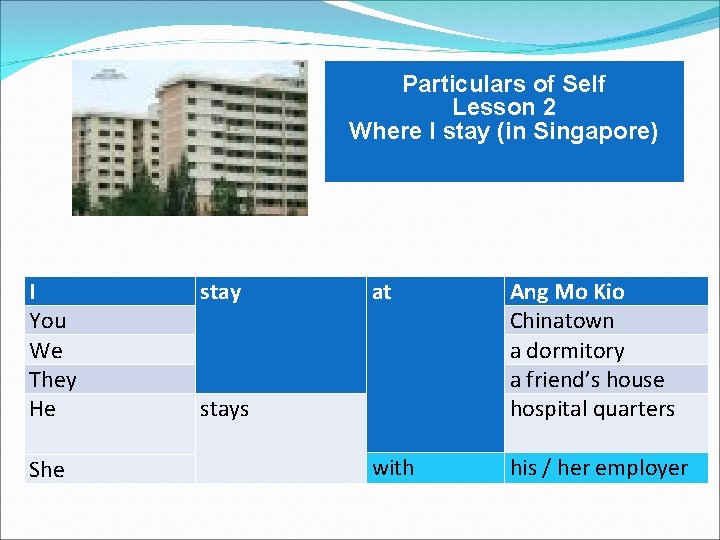 Particulars of Self Lesson 2 Where I stay (in Singapore) I You We They