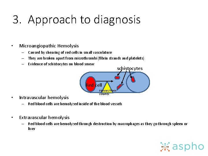 3. Approach to diagnosis • Microangiopathic Hemolysis – Caused by shearing of red cells