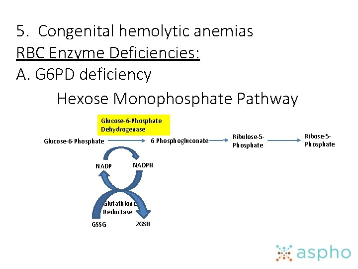 5. Congenital hemolytic anemias RBC Enzyme Deficiencies: A. G 6 PD deficiency Hexose Monophosphate