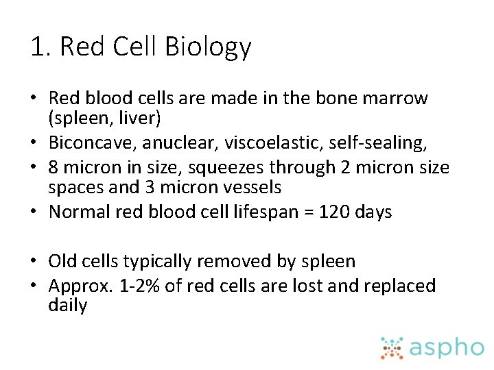 1. Red Cell Biology • Red blood cells are made in the bone marrow